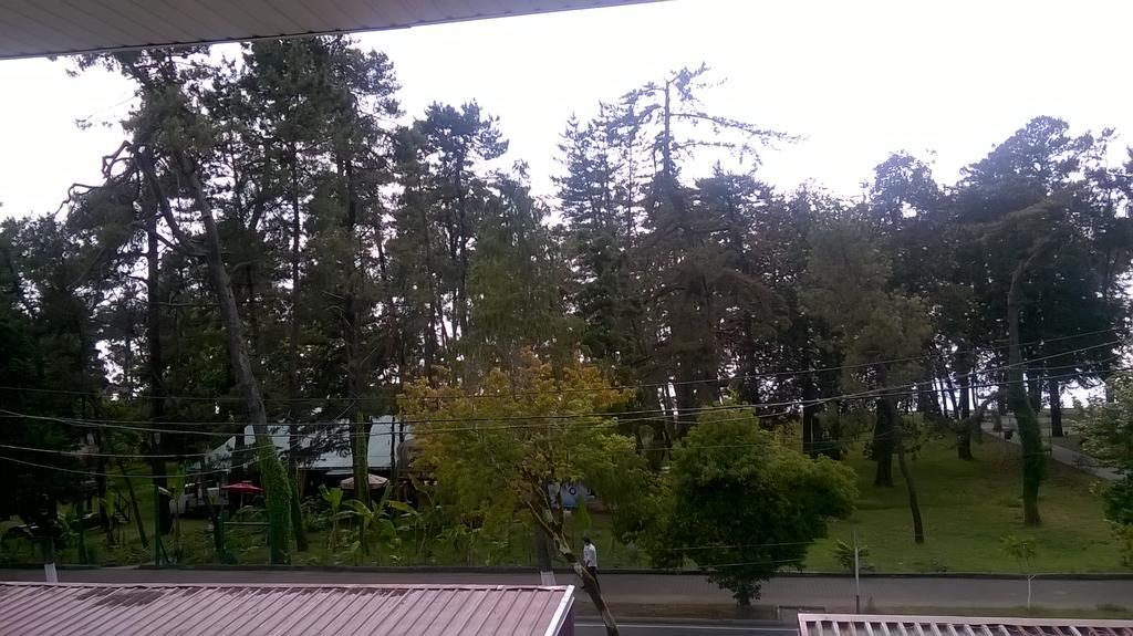 Guest House Kobuleti On Aghmashenebeli מראה חיצוני תמונה